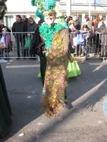 F. Maske (c) 061.jpg